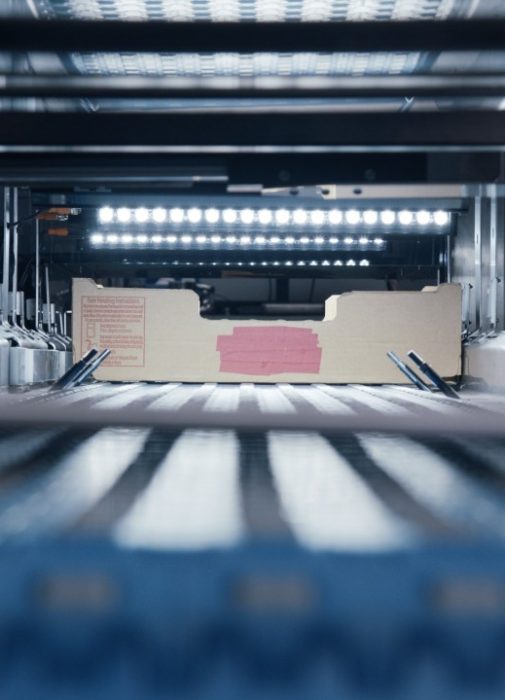 Automation Acceleration